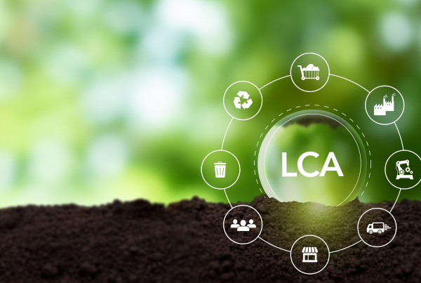 Upfront carbon emissions and life cycle assessment